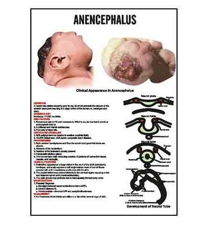 Midwifery & Child Health Nursing Charts