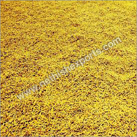 Dry Turmeric Fingers