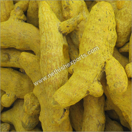 Salem premium Turmeric finger