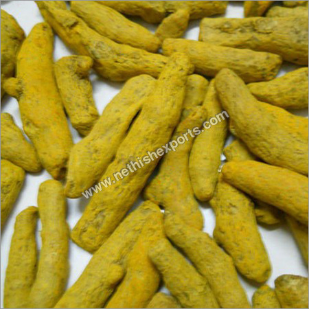 Salem Turmeric Finger