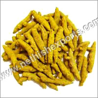 Double Polished Turmeric Finger