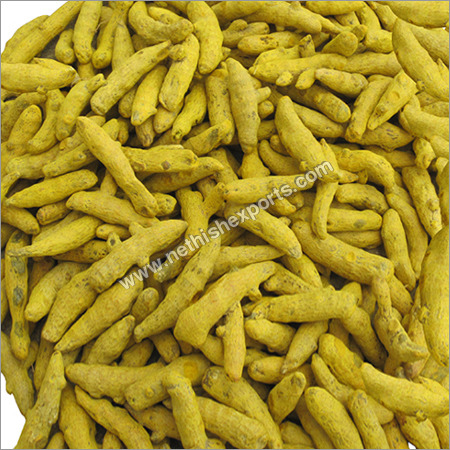Mini Salem Turmeric
