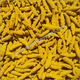 Erode Turmeric Finger
