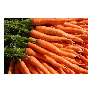 Fresh Carrots