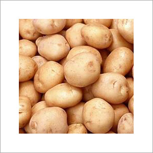 Fresh Potatoes