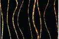 Metal Laminates Verve