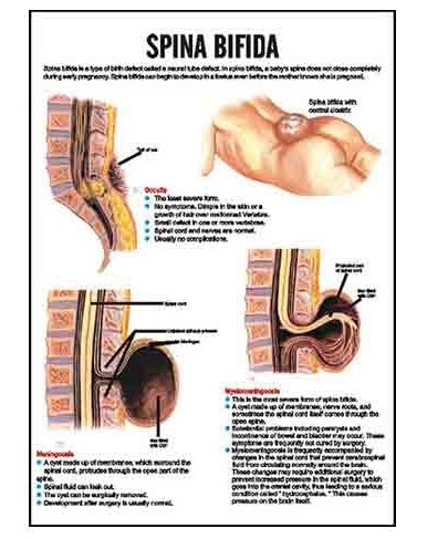 Midwifery & Child Health Nursing Charts