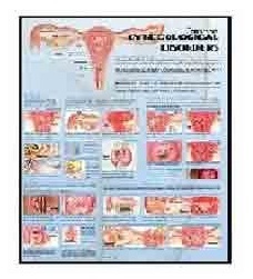 Anatomy Medical U.S.A Charts