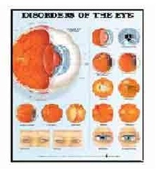 Anatomy Medical U.S.A Charts