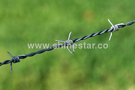 Concertina Wires