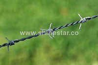 Concertina Wires
