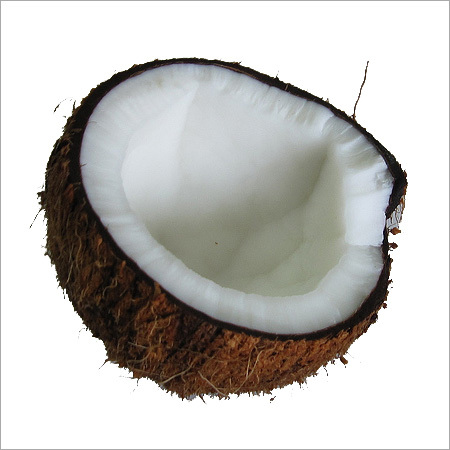 Fresh Shell Coconut