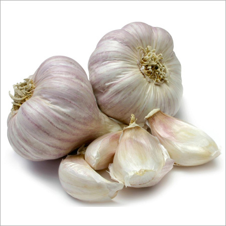 Fresh Garlic