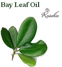Bay Leaf Oil
