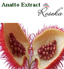 Anatto Extract 4% Bixin - Oil-Soluble Food Extract 25kg Drums Natural Bright Color Versatile Use