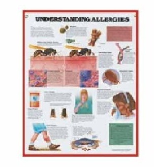Anatomy Medical U.S.A Charts