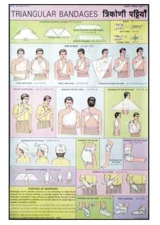 First Aid Charts