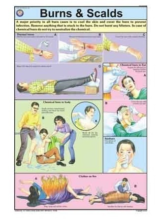 First Aid Charts