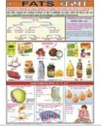 Food And Nutrition Charts