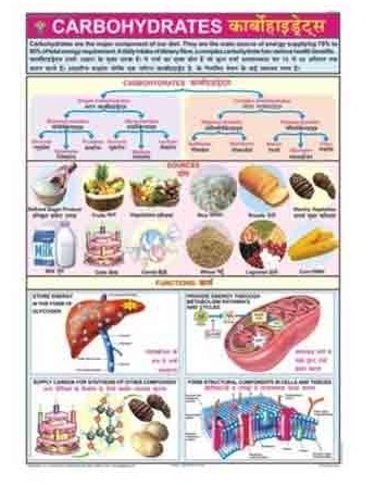 Food And Nutrition Charts
