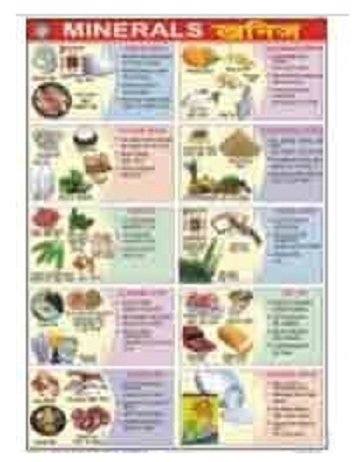 Food And Nutrition Charts