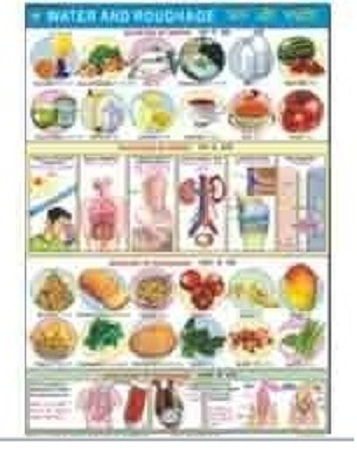 Food And Nutrition Charts