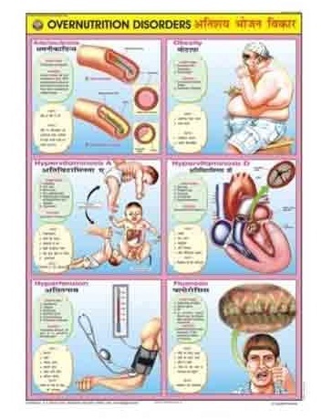 Food And Nutrition Charts