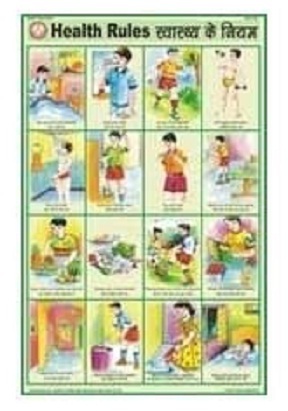 Health And Hygiene Charts