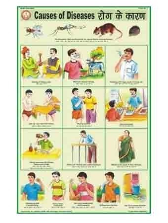 Health And Hygiene Charts