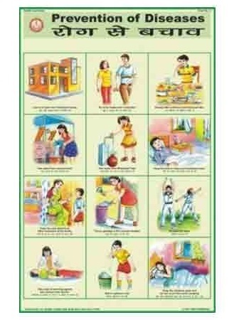 Prevention Of Diseases Charts