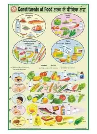Health And Hygiene Charts