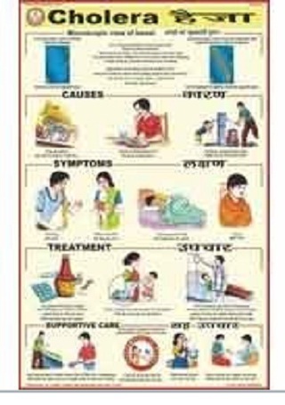 Human Diseases Charts