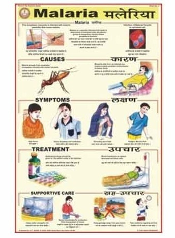 Malaria Diseases Charts