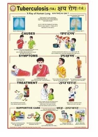 Human Diseases Charts