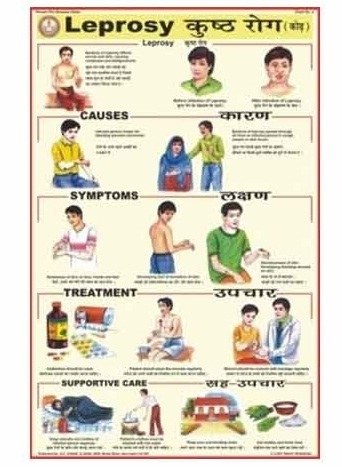 Human Diseases Charts