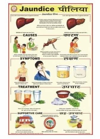 Human Diseases Charts