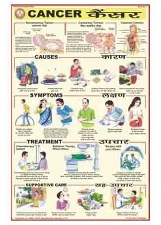 Human Diseases Charts