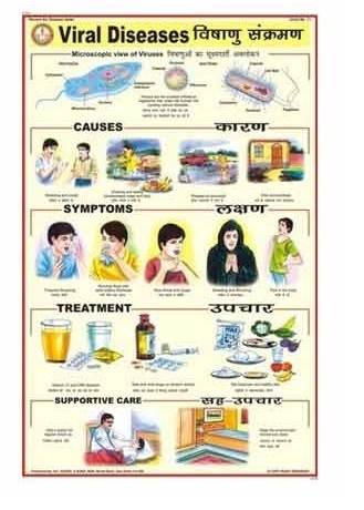 Human Diseases Charts
