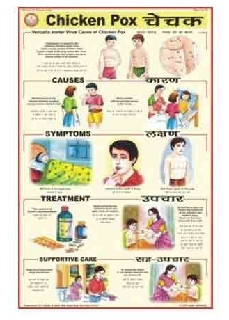 Human Diseases Charts
