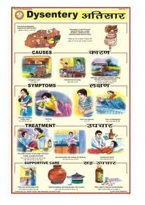 Dysentery Charts