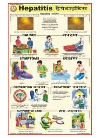 Human Diseases Charts