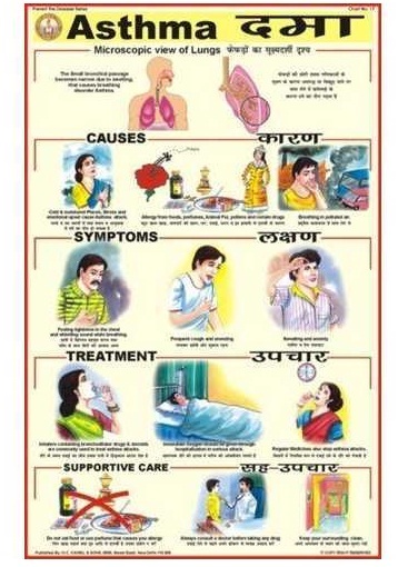 Human Diseases Charts