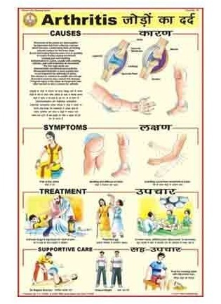 Human Diseases Charts