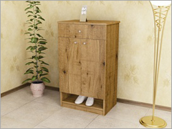 Designer Shoe Rack