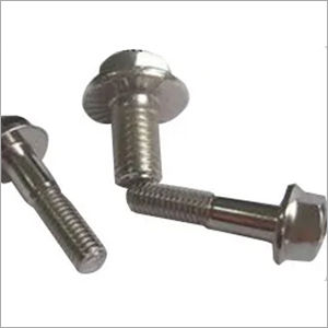 Hexagonal Flange Hex Screw