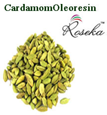 Cardamom Oleoresin 40% VOC