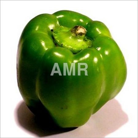 Fresh Green Bell Pepper
