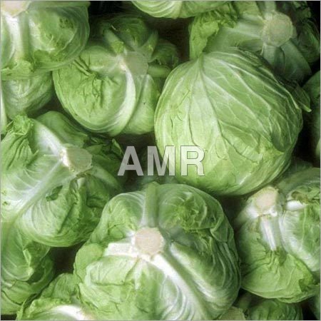 Green Cabbage
