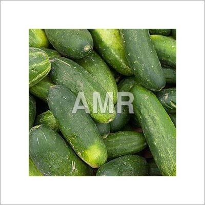 Green Cucumber