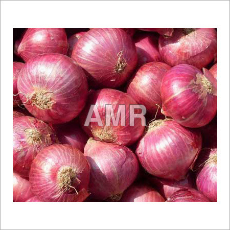 Small Red Onion - Small, Red, Round | Fresh, Flavorful, Pungent, Hygienic, Chemical-Free, Bulk Packaging